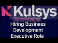 KULSYS TECHNOLOGIES HIRING BUSINESS DEVELOPMENT EXECUTIVE EXP  0-3 YRS