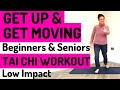 SENIORS | BEGINNERS | HOME WORKOUT | GENTLE & LOW IMPACT TAI CHI