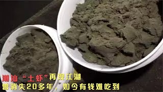 潮汕土蝦再次回歸！曾消失這么多年，現卻成有錢也難吃到的美食