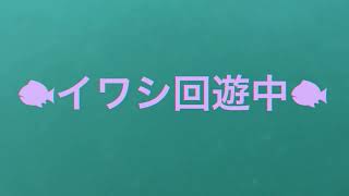 フィッシングマックス和歌山インター店　４月5日田ノ浦RT