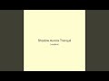 Shadow Aurora Tranquil