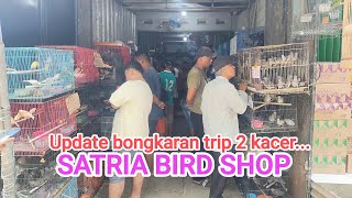 Update Bongkaran kacer kalimantan@SATRIABIRDSHOP_$ABTU412025