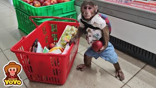 YoYo JR goes to the supermarket