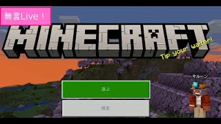 【Minecraft】木こらずエンドラ討伐【#51】装備準備４