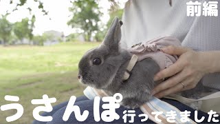 【うさんぽ】うさぎさんと公園へうさんぽに行ってきました 前編 #65