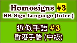 Homosigns in HK Sign Language (Inter.) #3【English Subtitle】