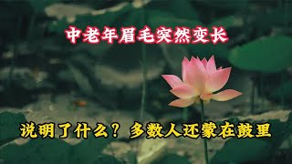 中老年眉毛突然变长，说明了什么？多数人还蒙在鼓里