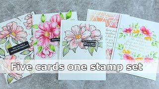 Five cards, one stamp set - Look for the rainbow