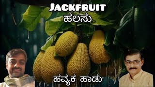 ಹಲಸು | Jackfruit | A song in Havyaka Kannada | ಹವ್ಯಕ ಭಾಷೆಯ ಒಂದು ಹಾಡು