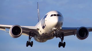 LOT Polish Airlines Boeing 787-8 Dreamliner [SP-LRE] Crosswind Landing at Toronto YYZ [Full HD]