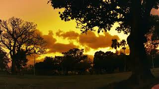 SUNSET Time Lapse - 漫湖公園  2023.06.15  沖縄県那覇市古波蔵