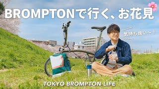 ［Vlog］BROMPTONに乗ってソロお花見に行ってきた！ // TOKYO BROMPTON LIFE