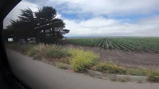 Monterey-Salinas Transit passing Farmland