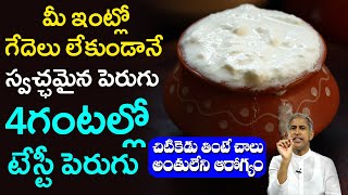 Tasty Curd | మీ ఇంట్లో గేదెలు లేకుండానే స్వచ్ఛమైన పెరుగు 4 గంటల్లో | Dr Manthena Satyanarayana Raju