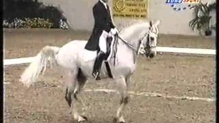 1: KWPN GP Stallion Aktion (s.Pion) half brother to KWPN GP Stallion Argus (s.Pion)