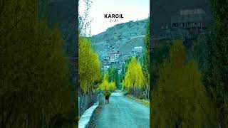 Kargil | Beautiful Kashmir 🥰😘😘😱 #kashmir #travel #musicgenre #nature #kashmirmountains