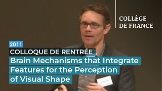 Brain Mechanisms that Integrate Features for the Perception of Visual Shape - Pieter Roelfsema