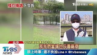 台中公園驚見「擄鴿」鳥網　鴿子倒掛奄奄一息