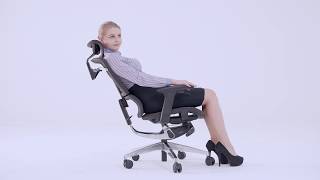 GTCHAIR | Comfortable ISEE Ergonomic Office Chair | GT CHAIR