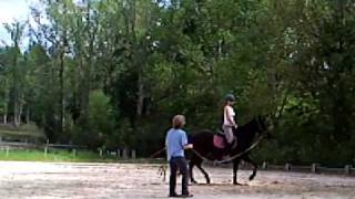 Anne Demaree of Saudi Arabia horse riden by Samantha Trojan a 3 YO Friesen Mix  Part 4 of 4