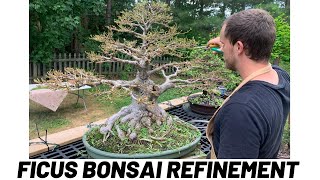 Willow Leaf Bonsai Refinement + Giveaway!