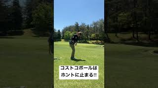 コストコボールはよく止まる‼︎