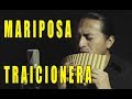 Maná - Mariposa traicionera - Pan Flute