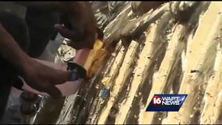 Gilding the Capitol eagle