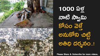 1000 Years Old Sri Govindaraja Swamy Idol, Don't Miss
