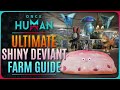 ONCE HUMAN - NEW ULTIMATE SHINY FARMING GUIDE!!!