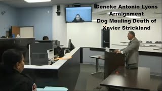 Geneke Antonio Lyons Arraignment 12/07/15
