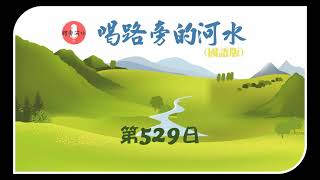 【喝路旁的河水】：第529日（國語）