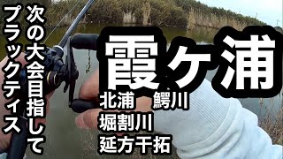 Spring in Kasumigaura is almost here!? This week's bass fishing Kasumigaura water system point guide