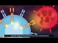 CAR T-Cell Therapy: How Does It Work? CAR T-Cell Therapy: How Does It Work?