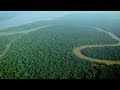 What You NEED To Know About the Amazon Rainforest