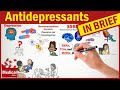 How Do Antidepressants Work? (Explained in 2 Minutes)