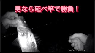 【浜名湖】海釣り公園 夜 延べ竿 簡単に釣れる 魚達 餌 ルアー 新居