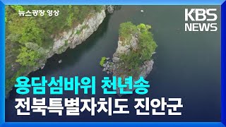 용담섬바위 천년송 [뉴스광장 영상] / KBS  2024.04.30.