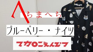 マカロニえんぴつ「ブルーベリー・ナイツ」guitar cover リードギター弾いてみた風