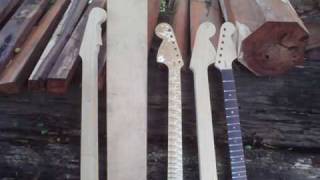 Luthier W.Santanna  Guitarra