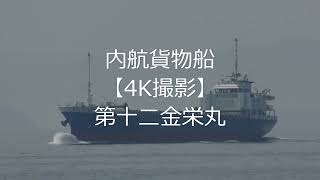 内航貨物船【4K撮影】第十二金栄丸