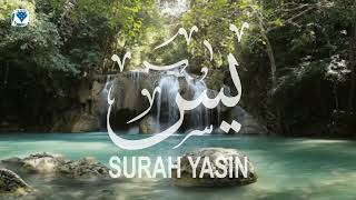 Surah Yasin High Volume