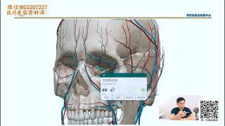 05讲 :出现栓塞、导致失明，怎么避免 | Lecture 05: How to Prevent Embolism and Blindness