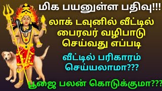 வீட்டில் பைரவர் பூஜை செய்வது எப்படி? #பைரவர் #பைரவர்வழிபாடு