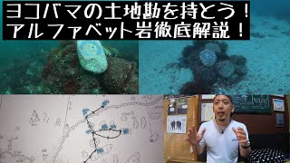 [伊豆ダイビング]ヨコバマの海の土地勘を持とう！ランドマークアルファベット解説！