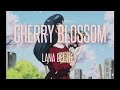 Cherry Blossom - Lana Del Rey (slowed + reverb)