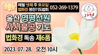 울산 영평선원ㅡ달동 롯데마트 옆에 있어요