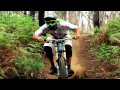 MADproductions - Vicious Path II MADproductions - Vicious Path II
