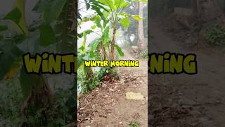 কুয়াশাচ্ছন্ন শীতের সকাল সাথে সূরাহ আর রহমান 😍 Ar Rahman #wintermornings #suraharrahman #shorts