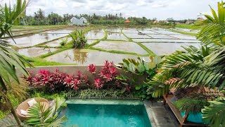 【賃貸物件】お部屋から水田風景を楽しめる別荘、バリ島ウブド地区